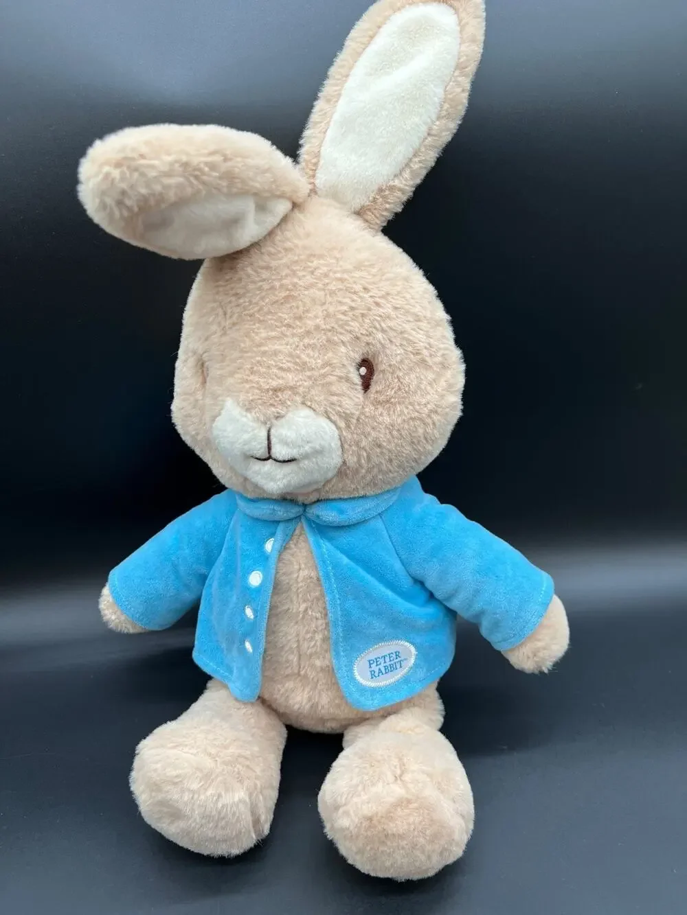 Peter Rabbit Plush Stuffed Bunny Rabbit Blue Jacket 21